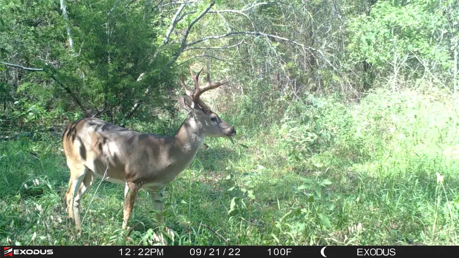 3324 County Road 3206, Dawson, TX 76639 - Image #3