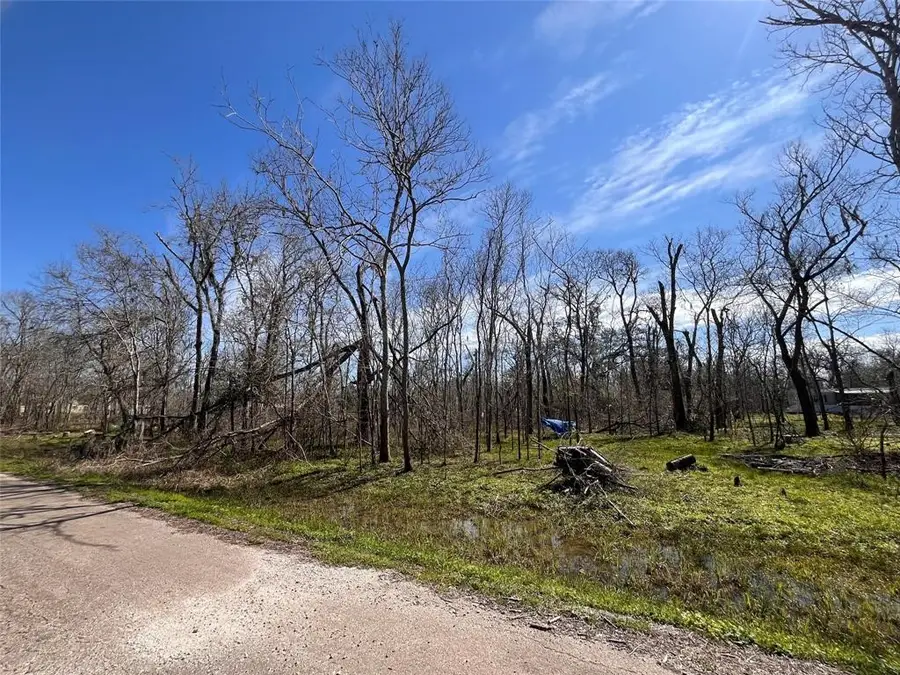 TBD Penguin Lane, Holiday Lakes, TX 77515 - Image #3