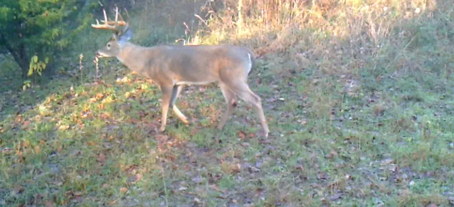 3324-A County Road 3206, Dawson, TX 76639 - Image #2