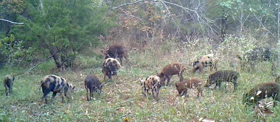 3324-A County Road 3206, Dawson, TX 76639 - Image #3