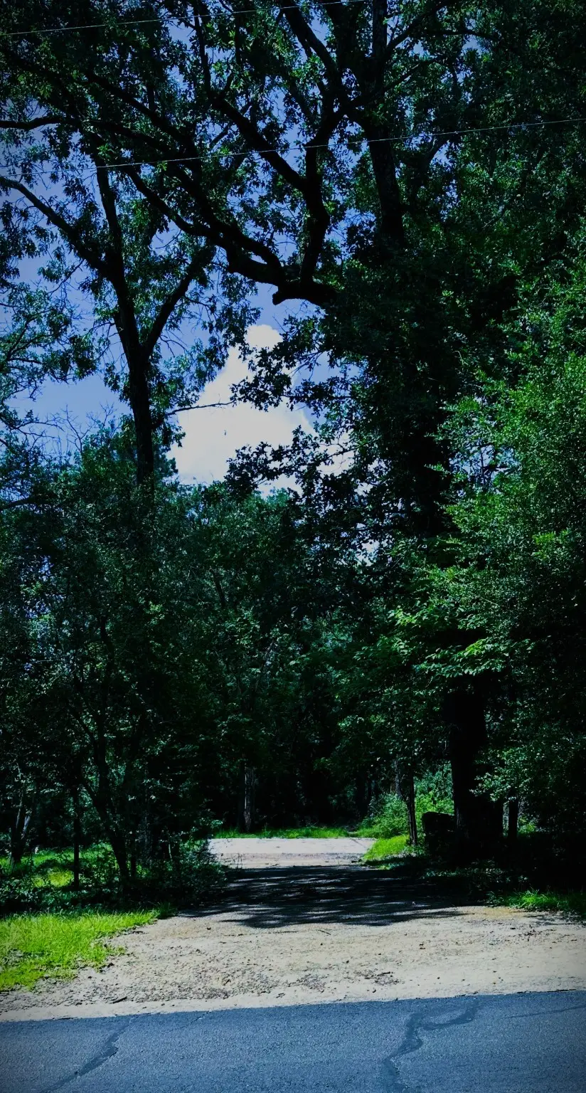 263 W Holly Trail, Holly Lake Ranch, TX 75765 - Image #1