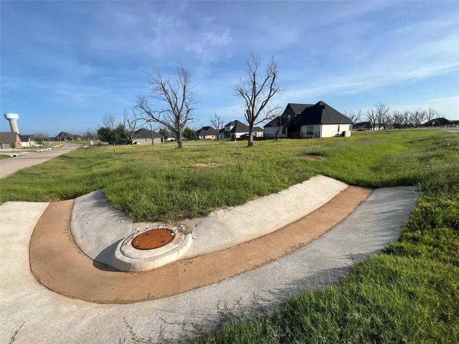 3724 Tremont Lane, Granbury, TX 76049 - Image #2