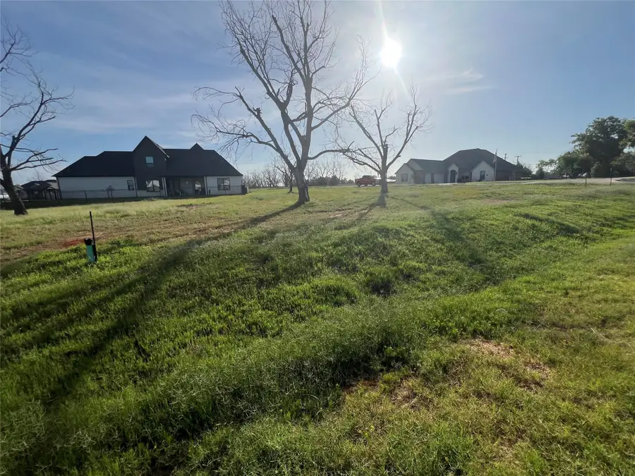 3724 Tremont Lane, Granbury, TX 76049 - Image #3