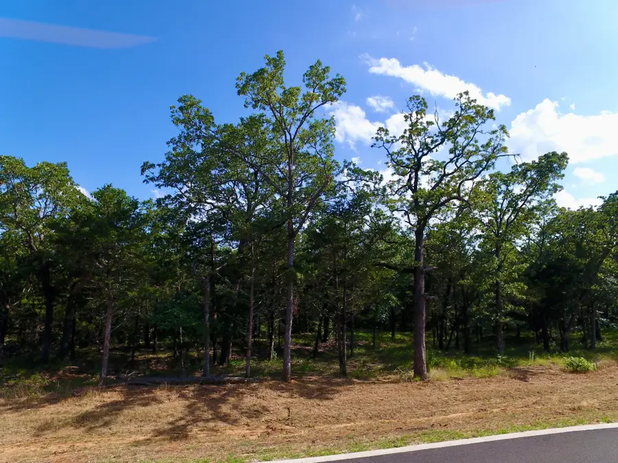 19C Coyote Springs Court, Gordonville, TX 76245 - Image #2