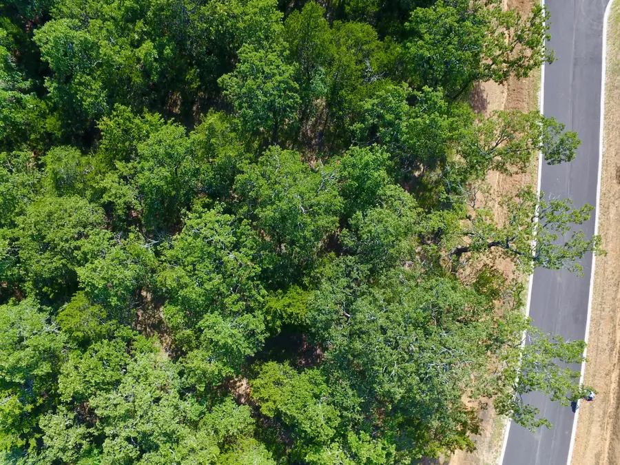 19C Coyote Springs Court, Gordonville, TX 76245 - Image #3