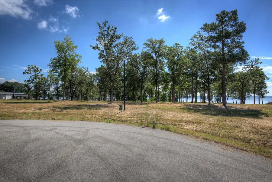 20609 Wycliff Drive, Chandler, TX 75758 - Image #3