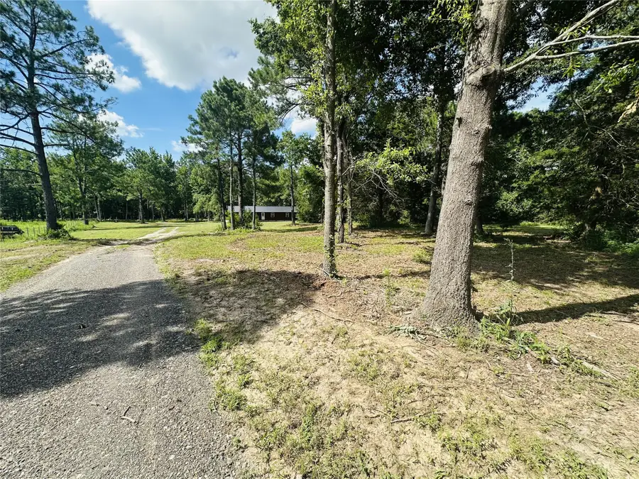 169 County Road 4400, Winnsboro, TX 75494 - Image #3