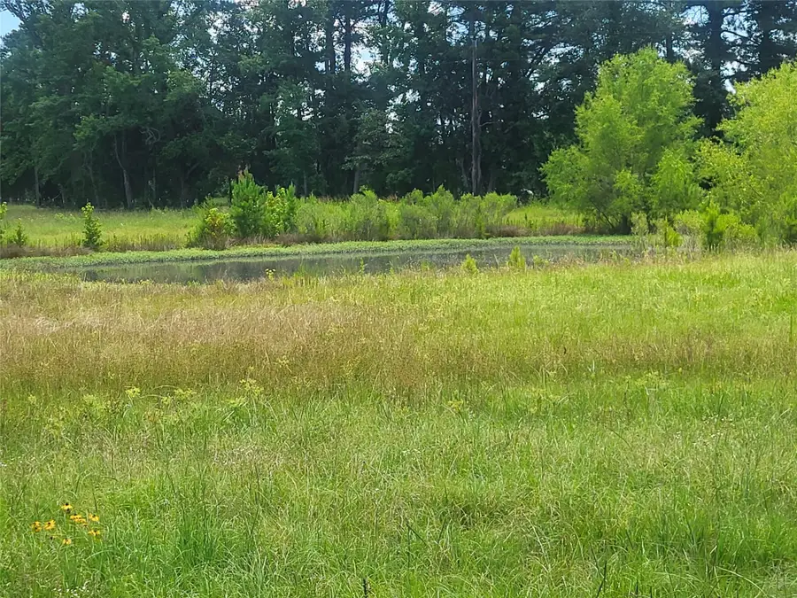 123456 Cr 3121, Blossom, TX 75416 - Image #3