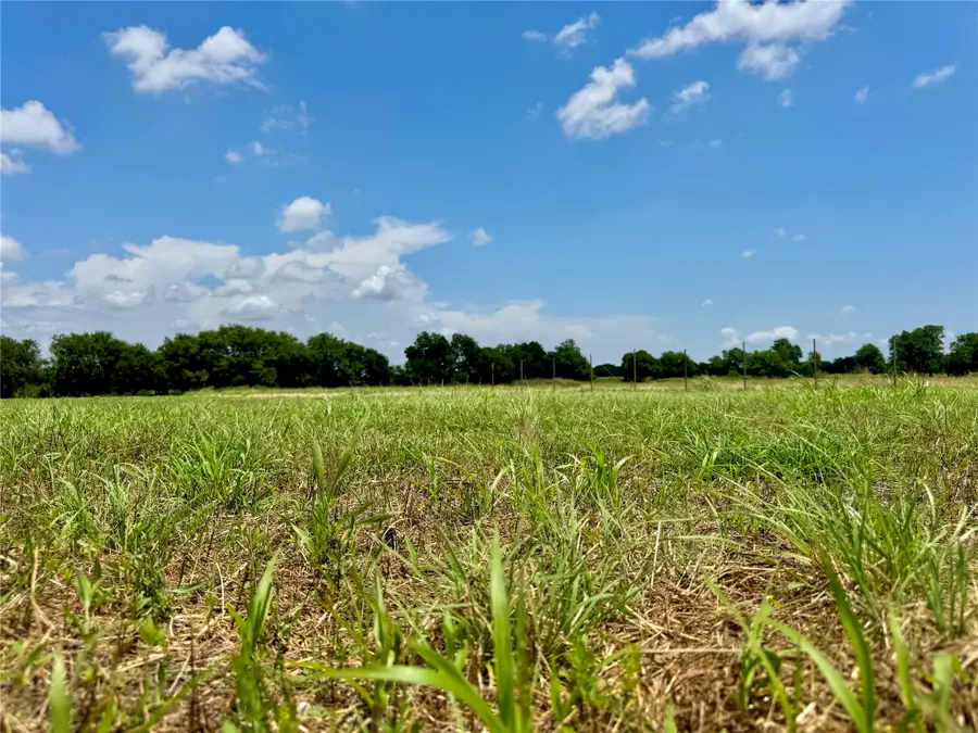 Lot 10 Cr-590, Nevada, TX 75173 - #3