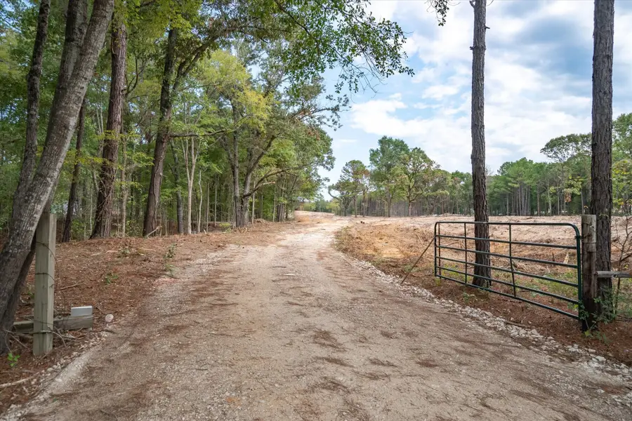 19451 County Road 4307 Road, Larue, TX 75770 - #2