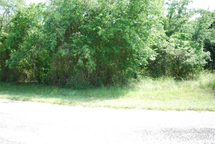 27183 Whispering Meadow Drive, Whitney, TX 76692 - Image #3