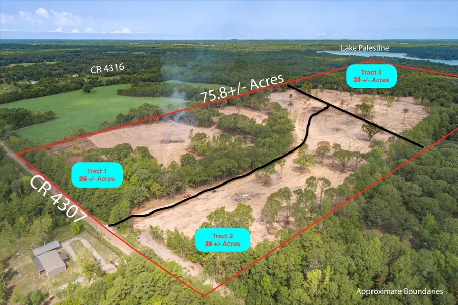 Tract 2 - TBD County Road 4307, Larue, TX 75770 - Image #2