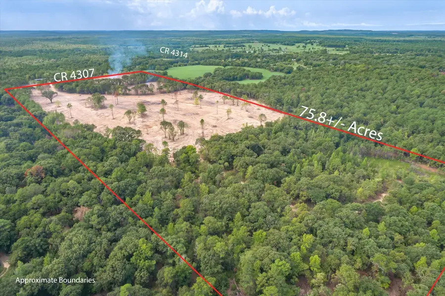Tract 2 - TBD County Road 4307, Larue, TX 75770 - Image #3