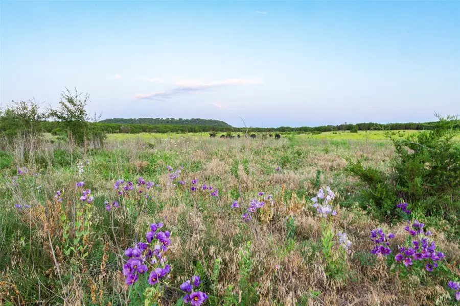 11439 Fm 1602, Jonesboro, TX 76538 - Image #3