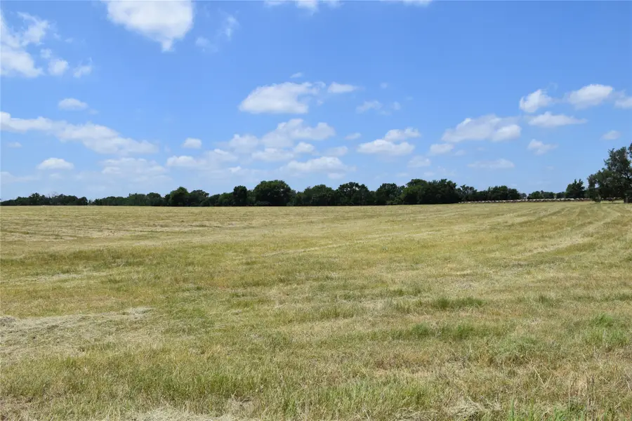 1731 Fm 860, Palestine, TX 75803 - Image #3