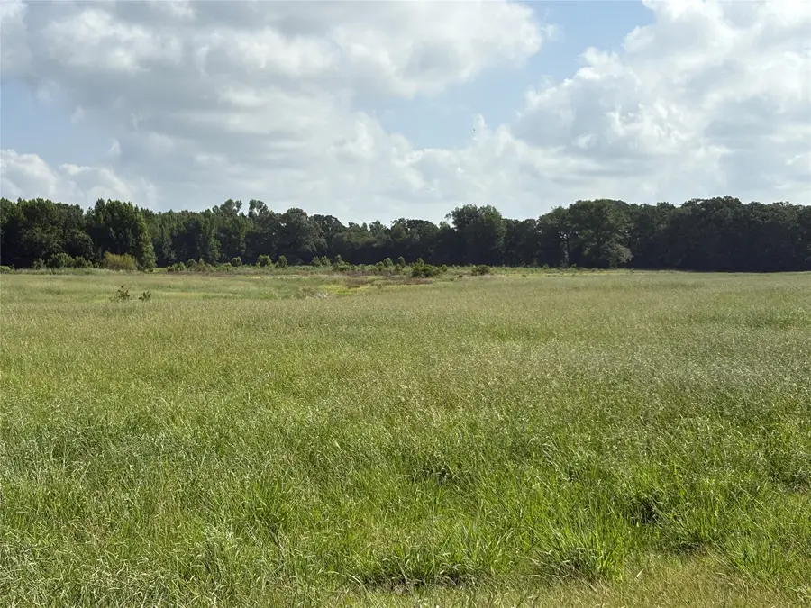 TBD Cr 2120 #2, Talco, TX 75487 - Image #3
