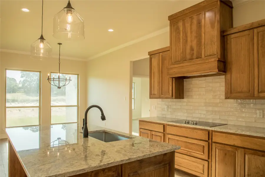 141 Prairie Winds Drive, Poolville, TX 76487 - Image #3