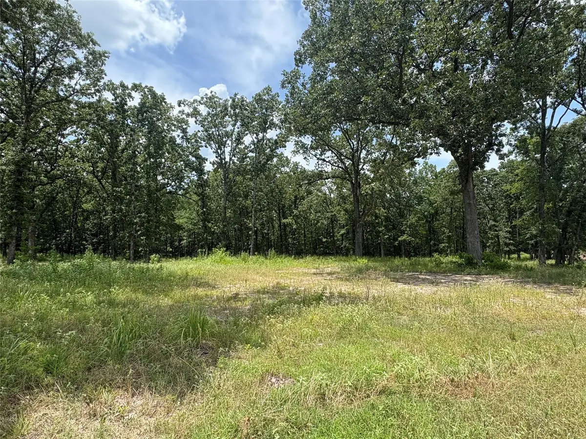 TBD Pvt 5948 #22, Yantis, TX 75497 - Image #1