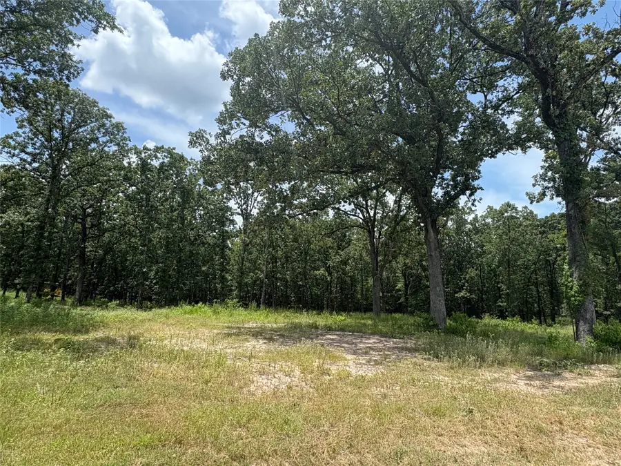 TBD Pvt 5948 #22, Yantis, TX 75497 - Image #2