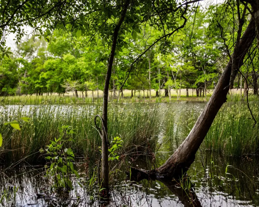 540 Vz County Road 2916, Eustace, TX 75124 - Image #3