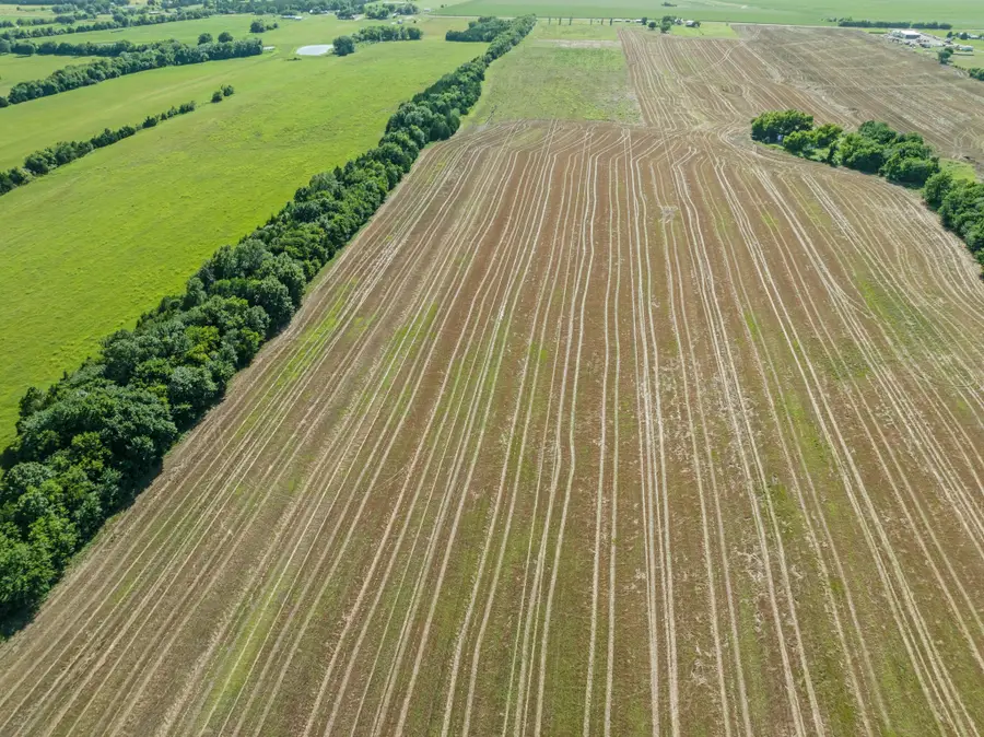 4085 S Fm 196, Blossom, TX 75416 - Image #2