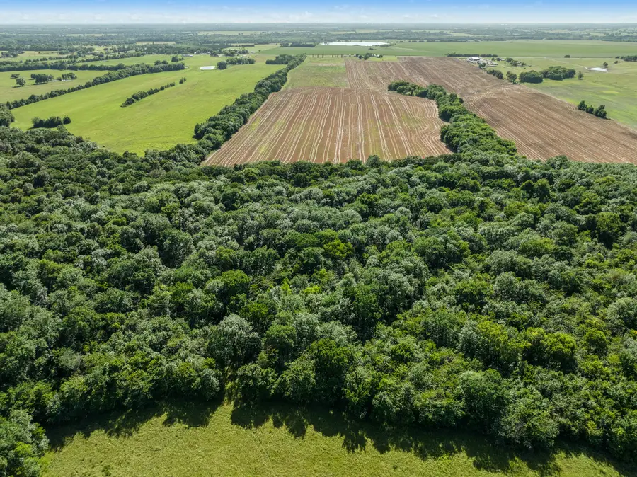 4085 S Fm 196, Blossom, TX 75416 - Image #3