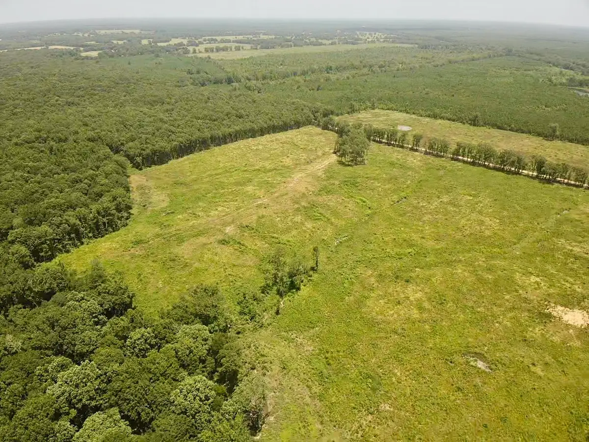 0000 County Road 4307, De Kalb, TX 75559 - Image #1