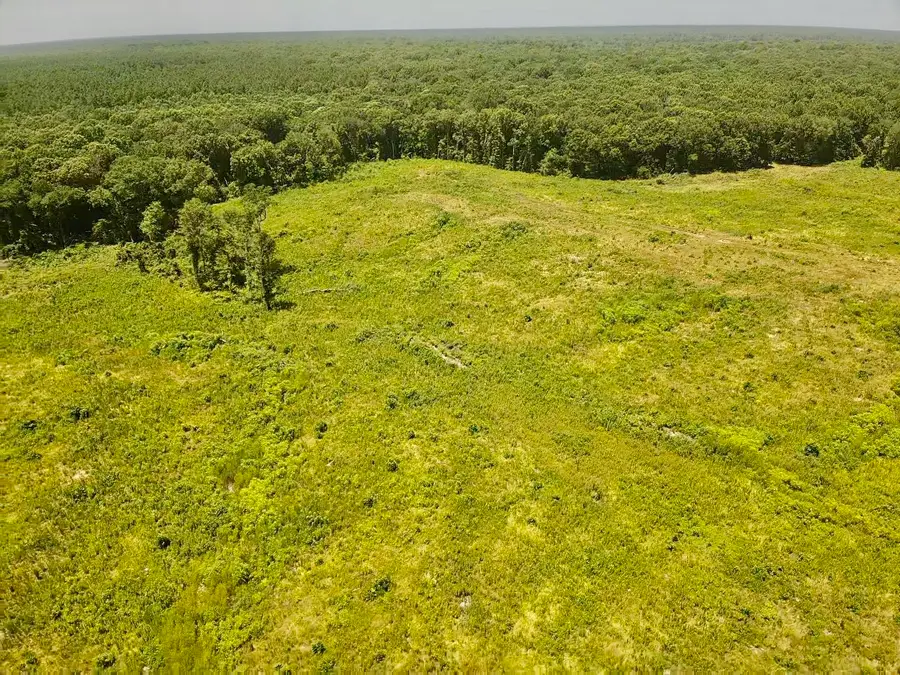 0000 County Road 4307, De Kalb, TX 75559 - Image #2