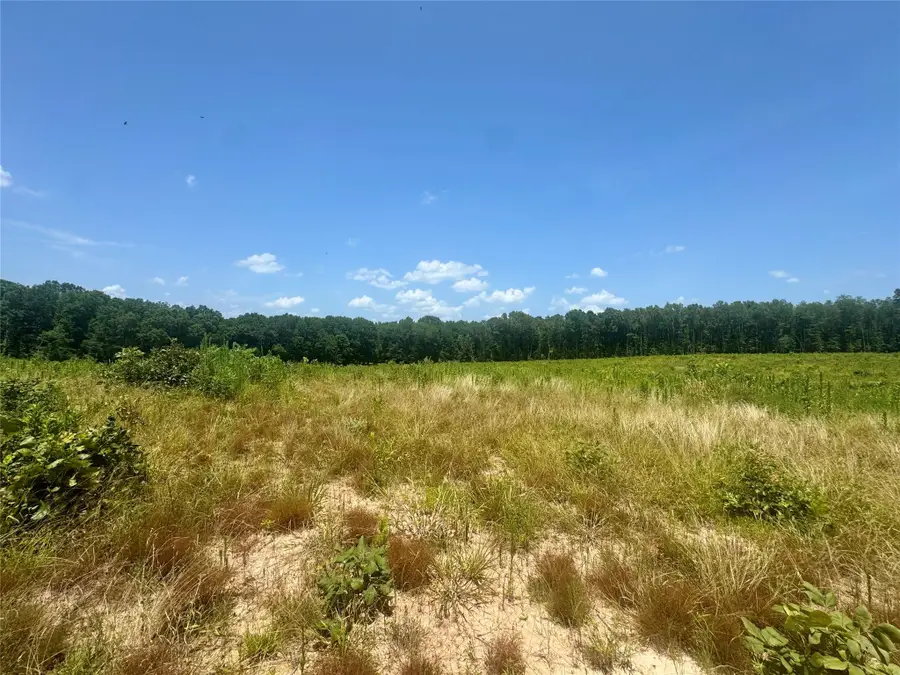 0000 County Road 4307, De Kalb, TX 75559 - Image #3