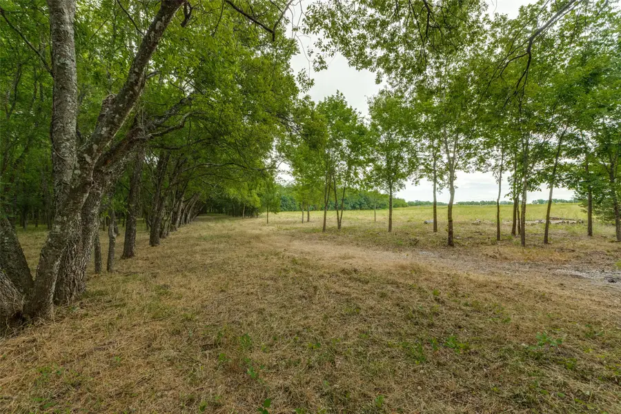 3805 County Road 3805, Wolfe City, TX 75496 - Image #2