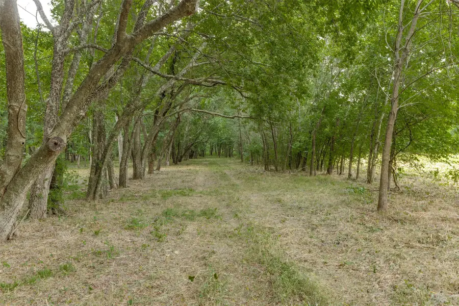 3805 County Road 3805, Wolfe City, TX 75496 - Image #3