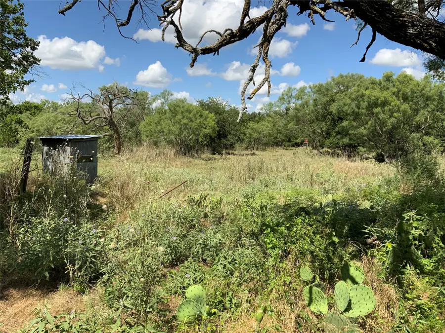 10051 County Road 321, Blanket, TX 76432 - Image #3