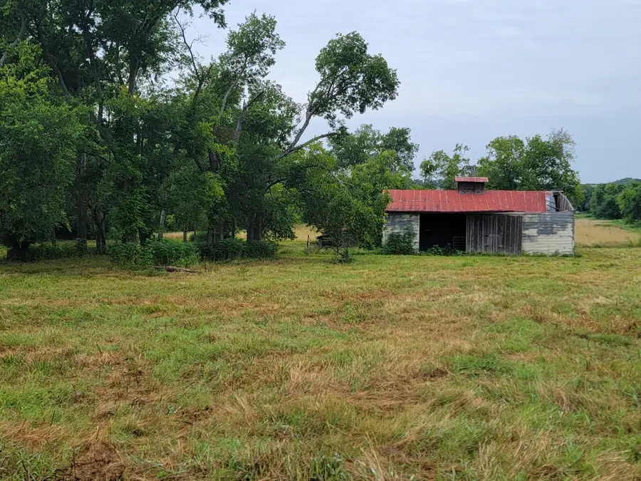 231 ACRES TBD Fm 100, Honey Grove, TX 75446 - Image #3