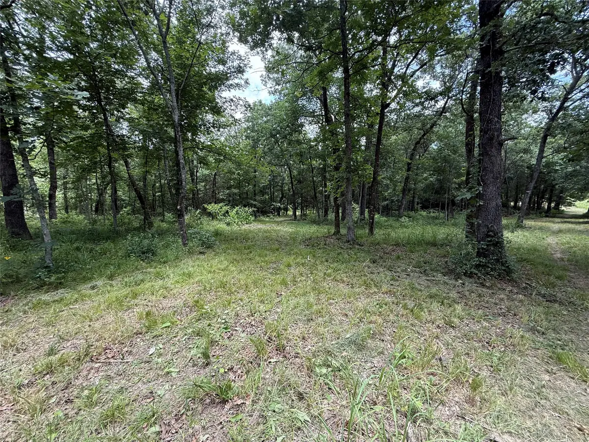 0000 County Road 1130, Lone Oak, TX 75453 - Image #1