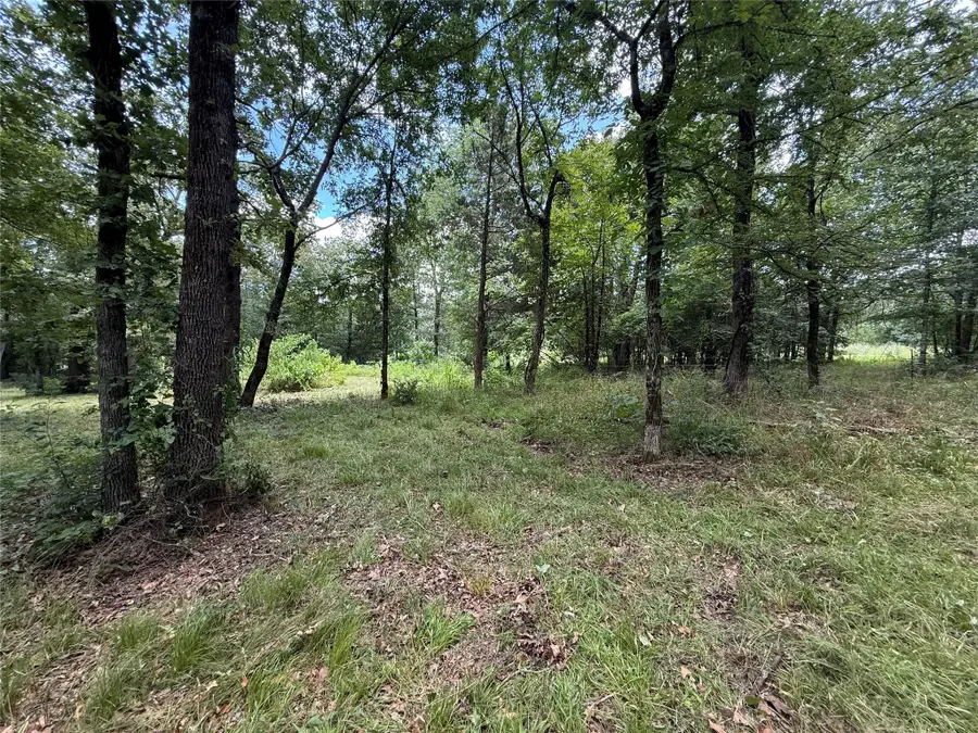 0000 County Road 1130, Lone Oak, TX 75453 - Image #2