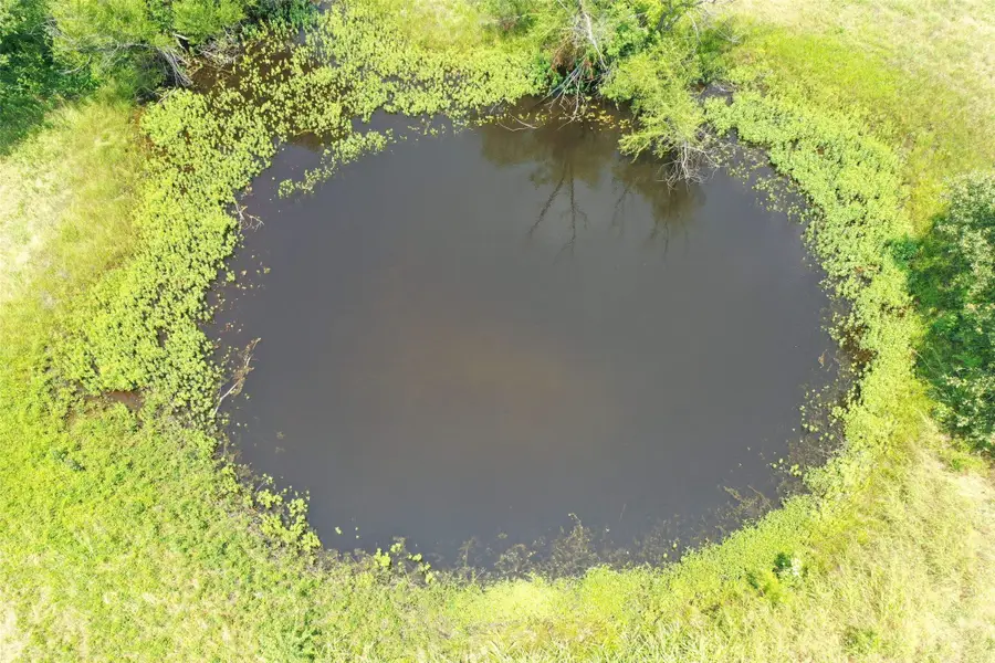 381B Paddock Drive, Mabank, TX 75156 - Image #3