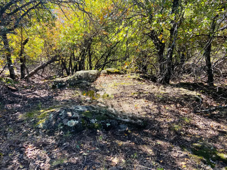 Lot 457 Lakeside Drive, Bowie, TX 76230 - Image #2