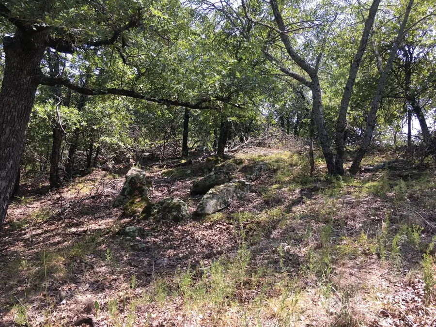 Lot 457 Lakeside Drive, Bowie, TX 76230 - Image #3