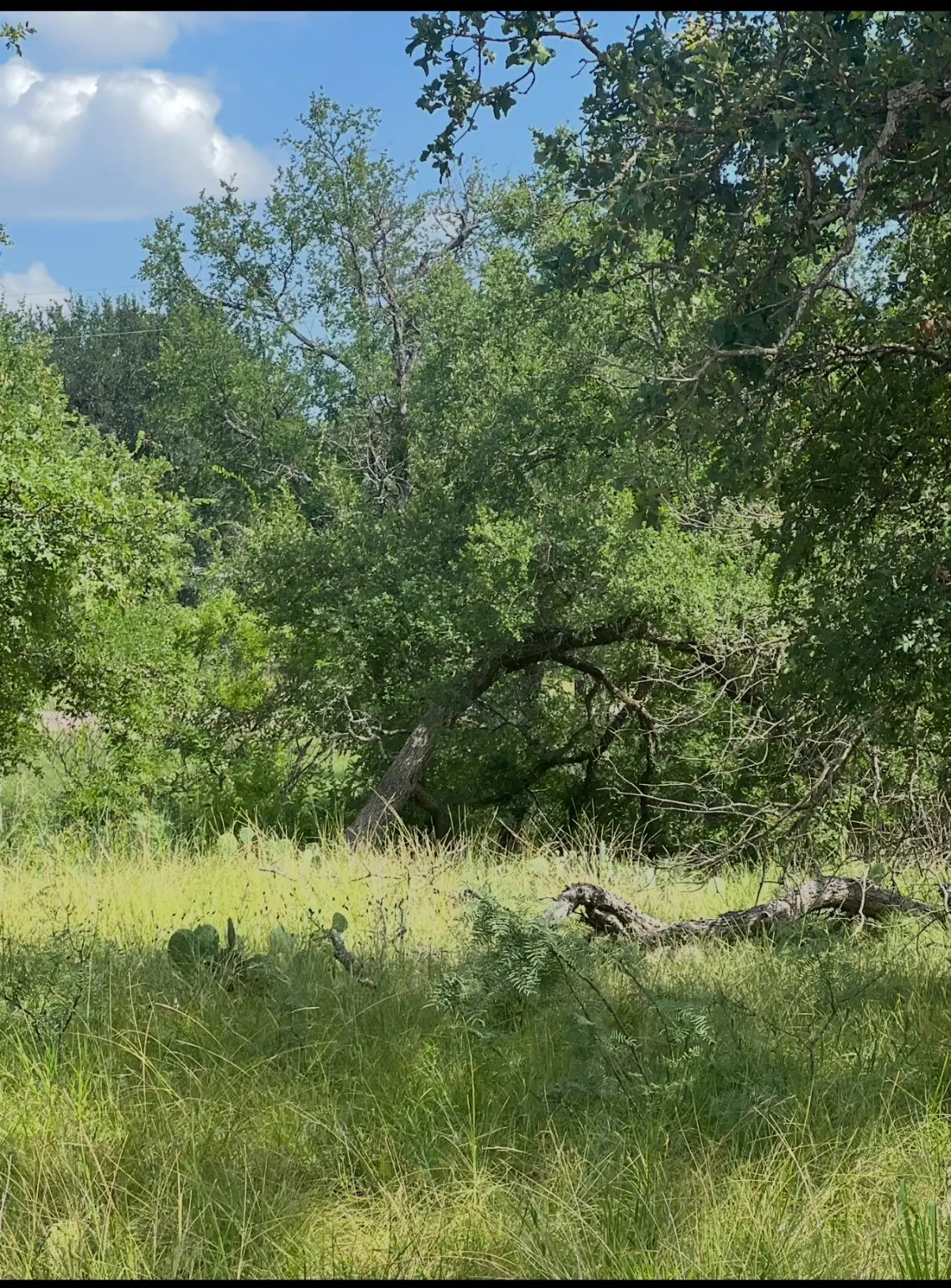 Lot 692 S Lakes Drive, May, TX 76857 - Image #1