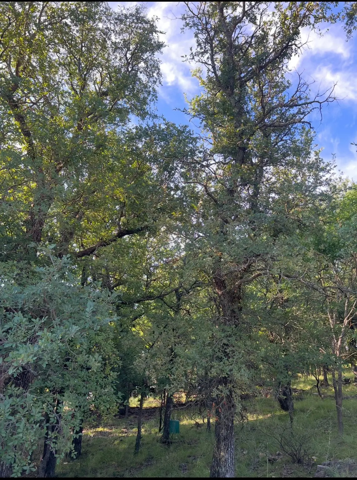 Lot 707 S Lakes Drive, May, TX 76857 - Image #1