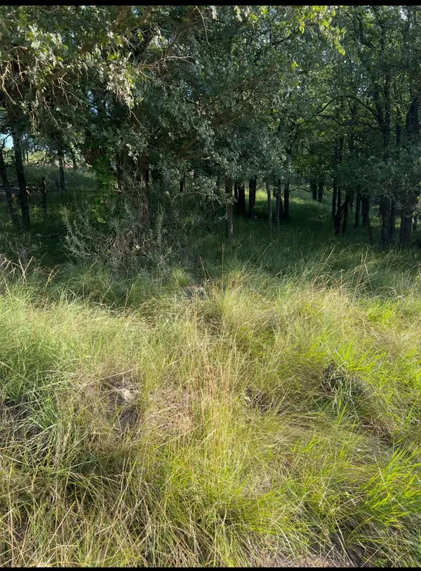 Lot 943 S Lakes Drive, May, TX 76857