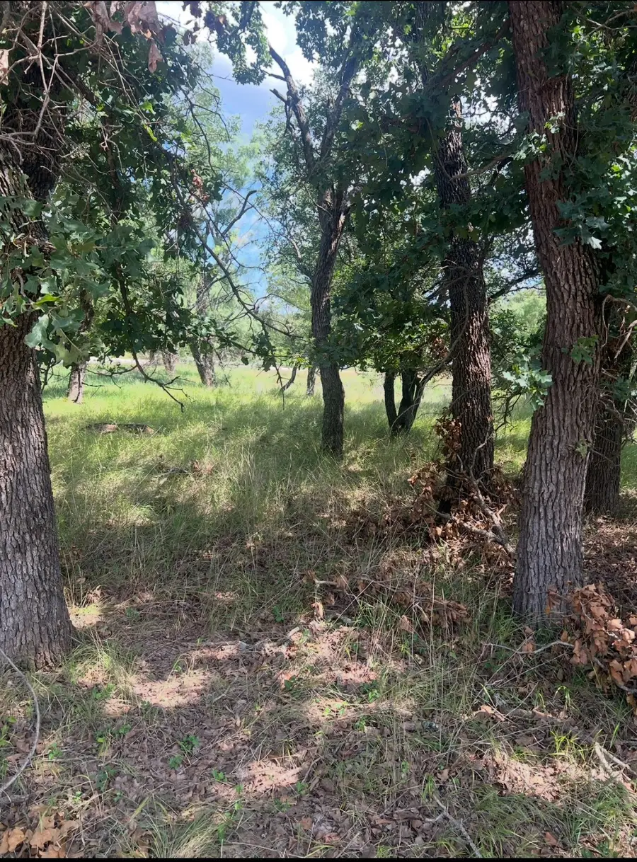 Lot 933 Oak Point Drive, May, TX 76857 - Image #2