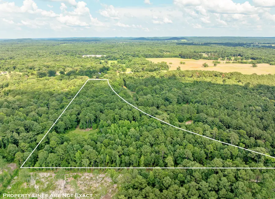 993 Dahlia Road, Gilmer, TX 75644 - Image #2