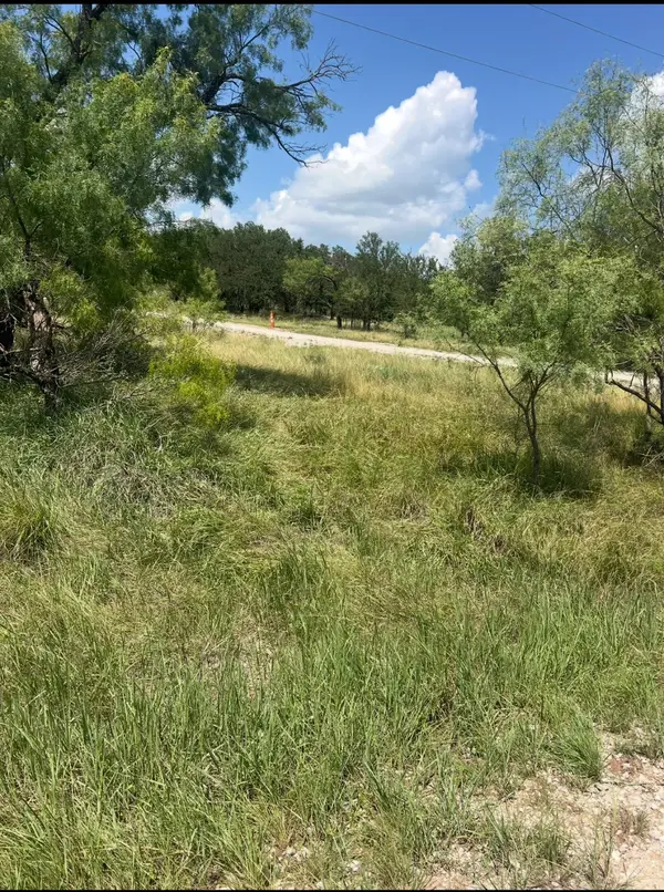 Lot 917 Oak Point Drive, May, TX 76857
