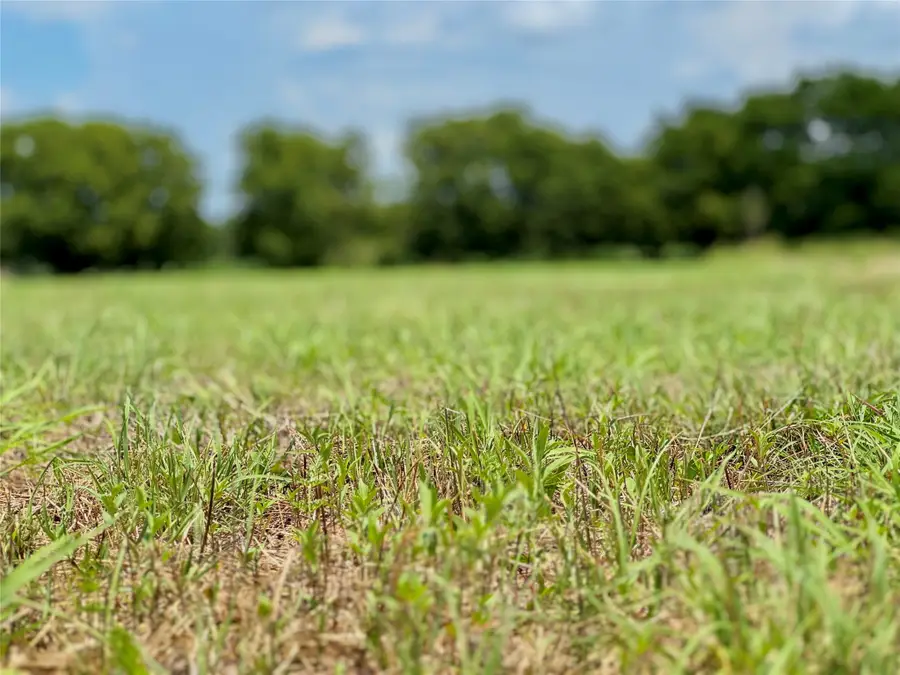 Lot 12 Cr-590, Nevada, TX 75173 - Image #2