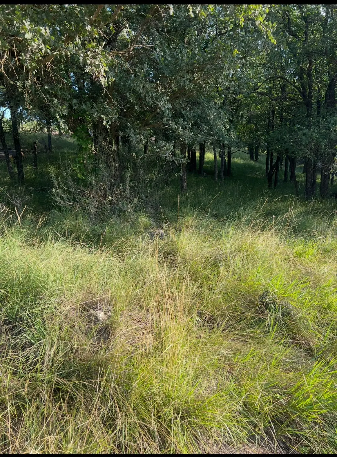 Lot 914 Oak Point Drive, May, TX 76857 - Image #1