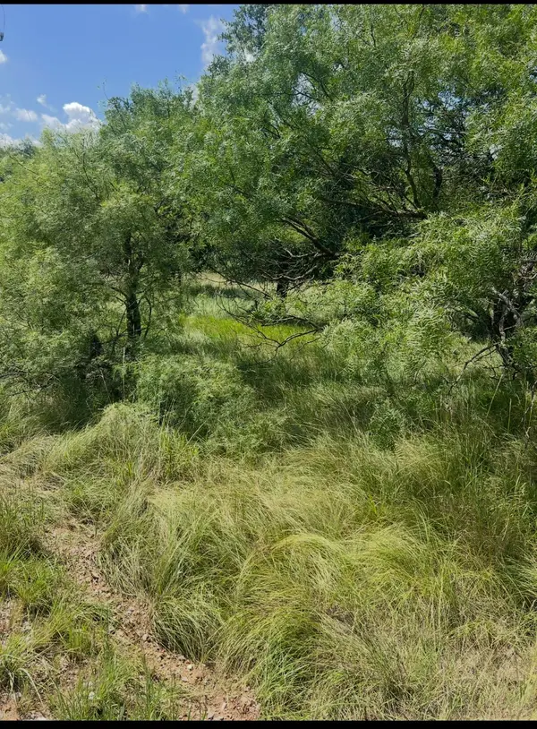 Lot 913 Oak Point Drive, May, TX 76857