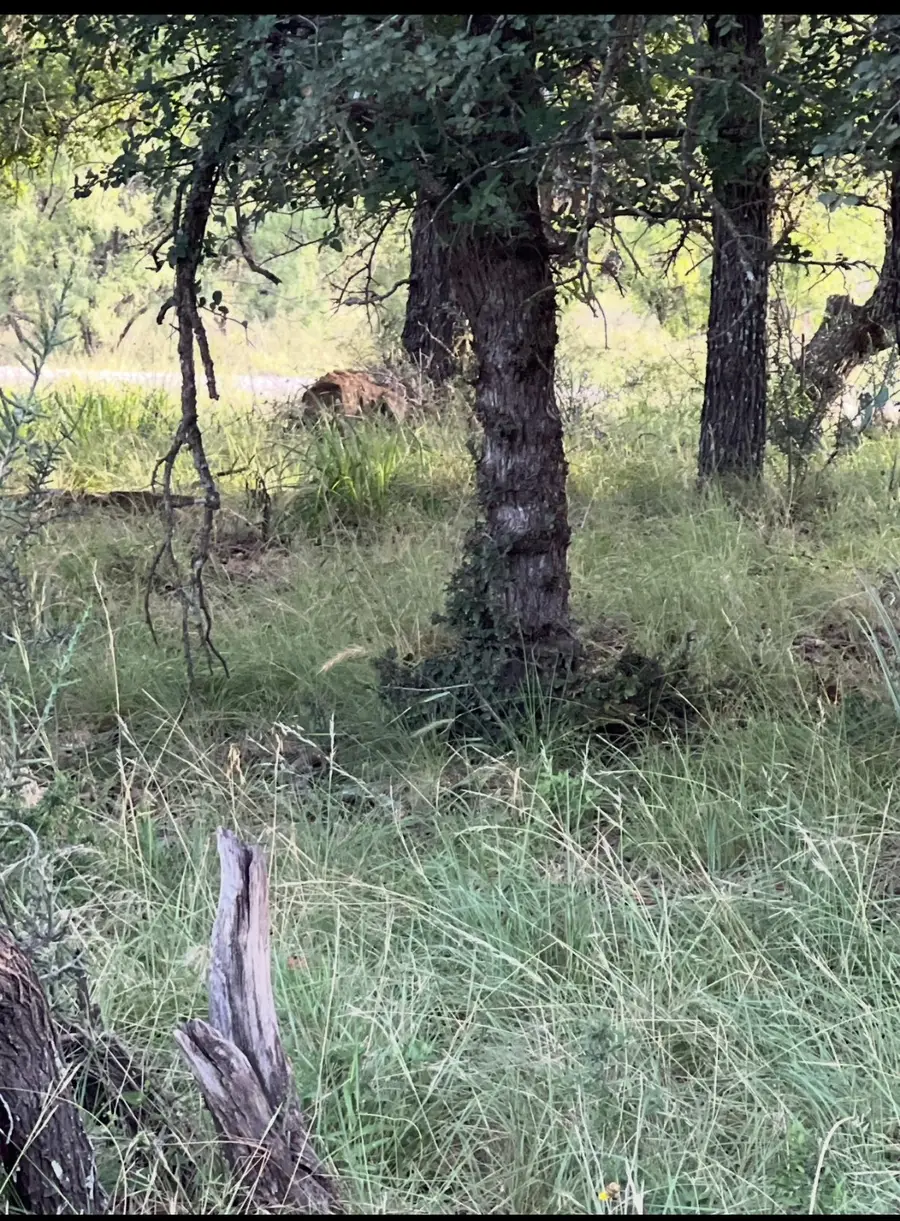 Lot 961 S Lakes Drive, May, TX 76857 - Image #2