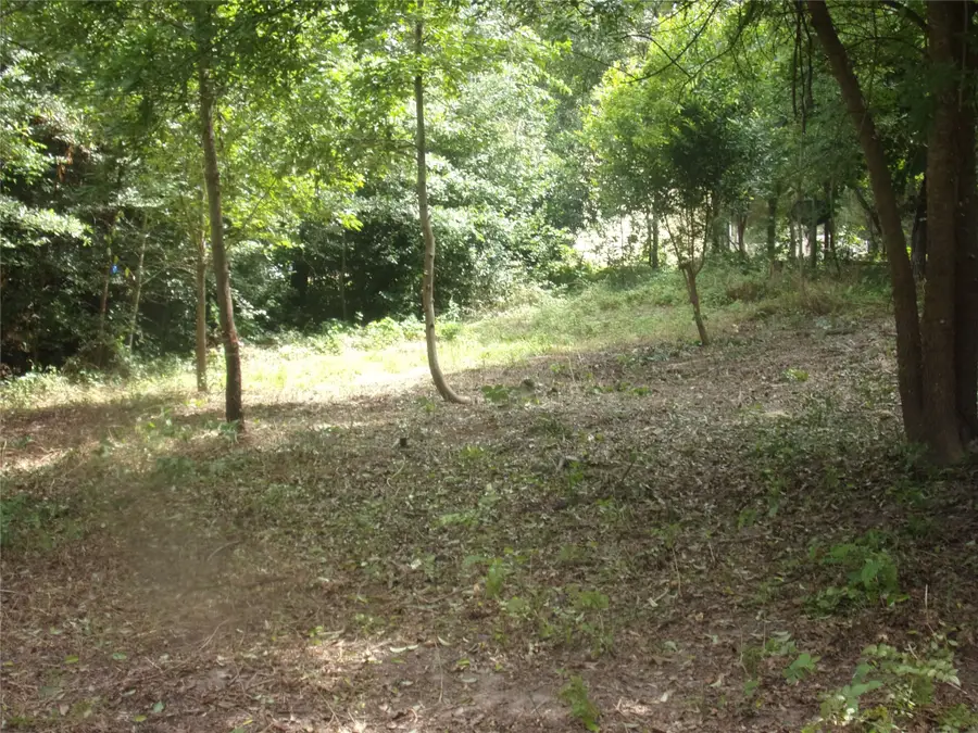 751 Dogwood Trail, Murchison, TX 75778 - Image #3