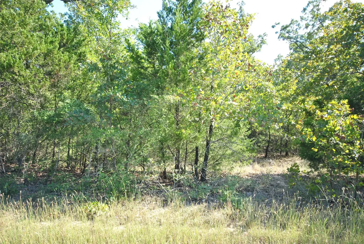 Lot 76 Lot 76 Lcr 894 Drive, Jewett, TX 75846 - Image #1